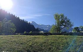 Appartement En Rez De Jardin Vue Montagne